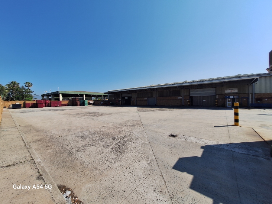 To Let Commercial Property for Rent in Ottery Western Cape
